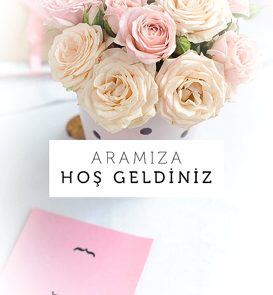 Giriş Banner